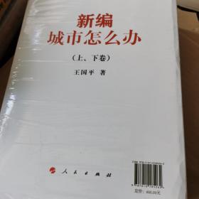 新编城市怎么办（上下卷）