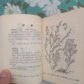 上海常用中草药