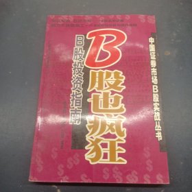 B股也瘋狂:B股投資指南