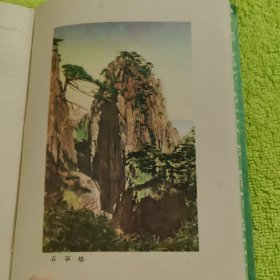 百花齐放 笔记本
