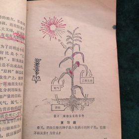陕西省小学试用课本-常识（第一册）-农业部分