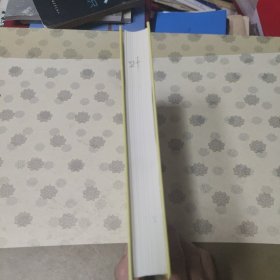 给孩子的未来脑计划