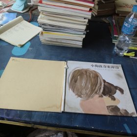小狗波奇来海边