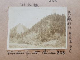 1934年 刘润泽摄 安徽歙县 安徽祁门 安徽休宁等地老照片四张，外部尺寸30x22厘米，保真！