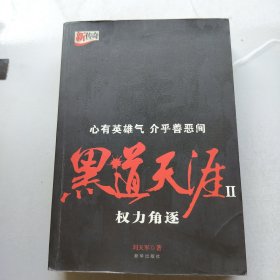 黑道天涯2:权力角逐