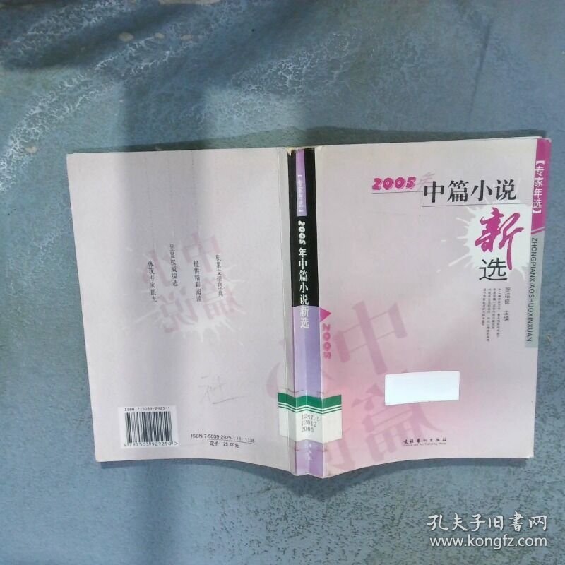 2005年中篇小说新选  贺绍俊  主编 文化艺术出版社