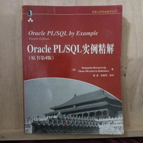 Oracle PL/SQL实例精解