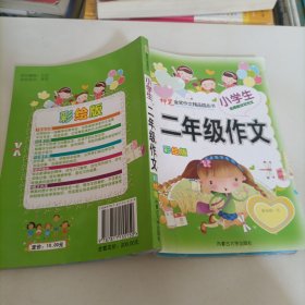 小学多功能作文