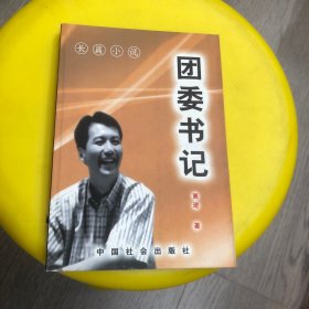 团委书记:长篇小说