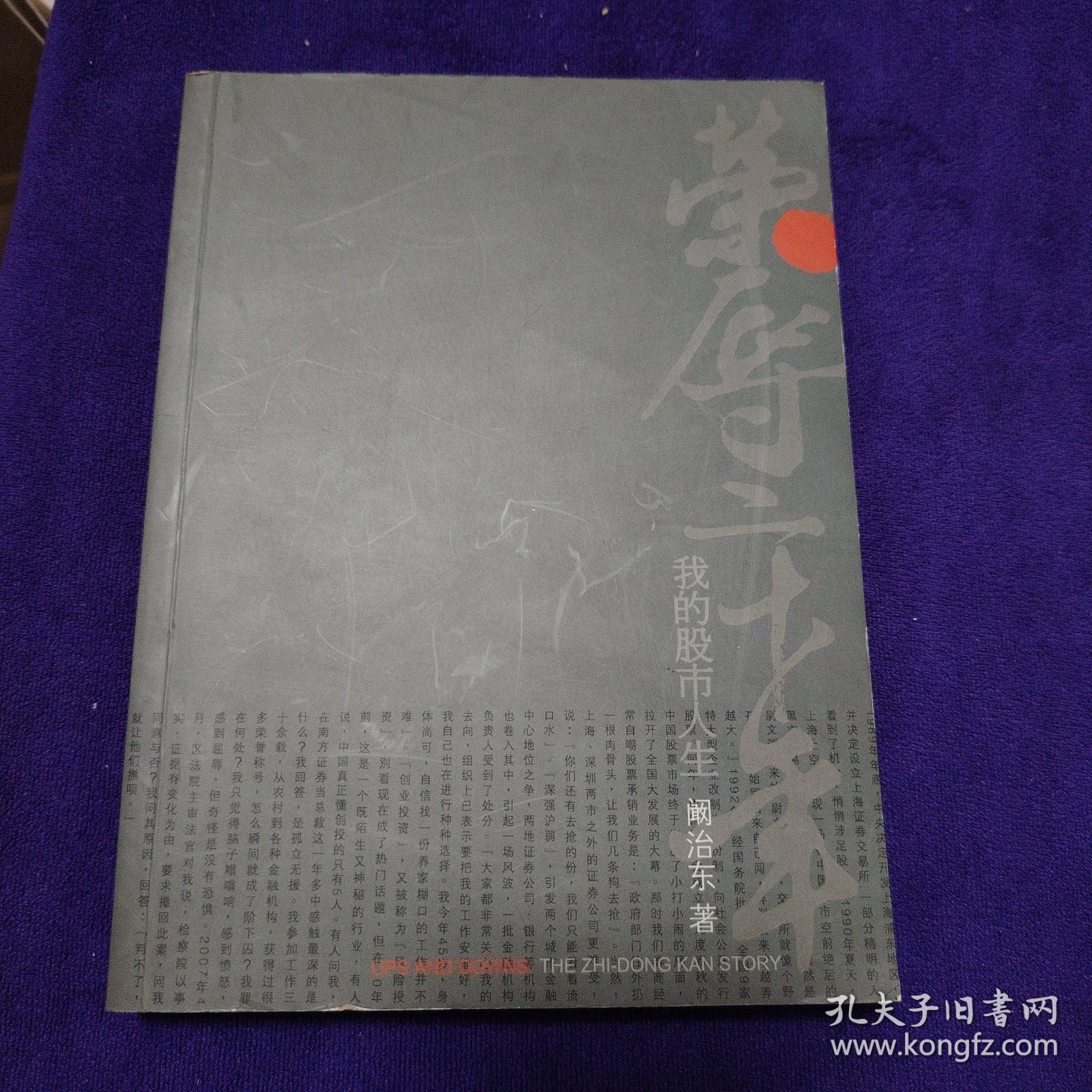 荣辱二十年 我的股市人生