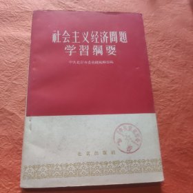 社会主义经济问题学习纲要