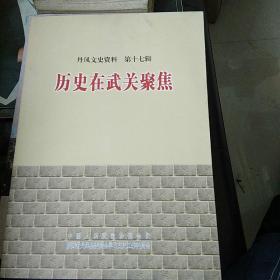 历史在武关聚焦一丹凤文史资料第17辑