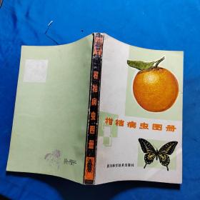 柑桔病虫图册