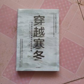 穿越寒冬:《让大象飞》作者的全新破冰力作