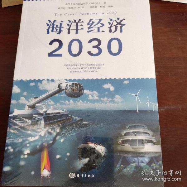 海洋经济2030