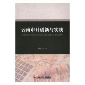 云南审计创新与实践