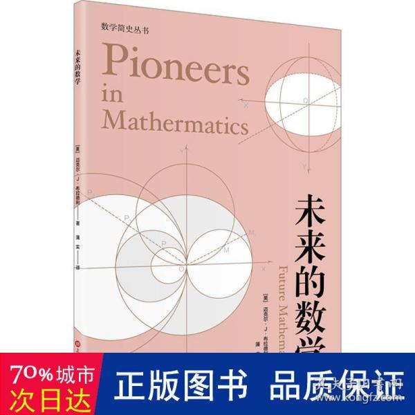 未来的数学（数学简史丛书）