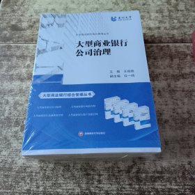 大型商业银行综合管理丛书：大型商业银行资产负债管理、大型商业银行金融科技管理、 大型商业银行风险管理 、大型商业银行公司治理 （全四册）半开封