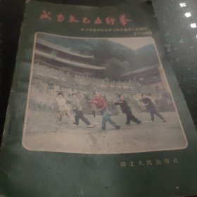 武当太乙五行拳