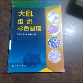 大鼠组织彩色图谱