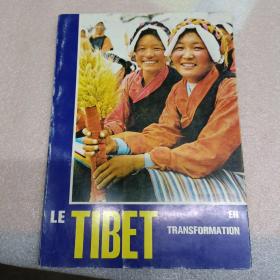 le tibet en transformation