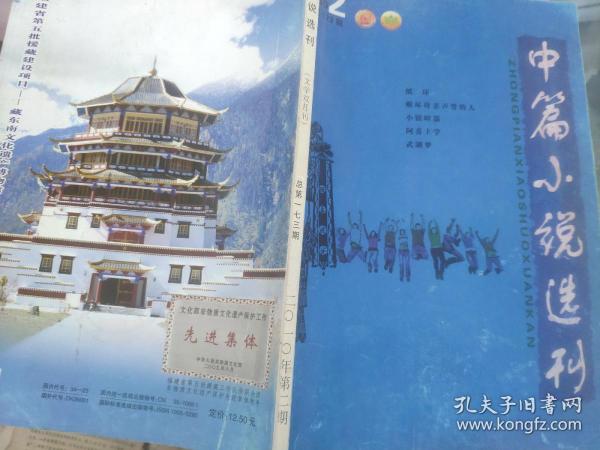 中篇小说选刊2010 2