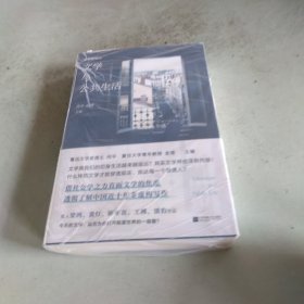 文学双城记：文学与公共生活（在无真相、不确定的世界，用社会的观察、真实的讲述，锚定生活的信心）