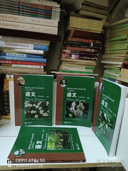 华师大二附中：语文（深度阅读 练习册 实验班用）