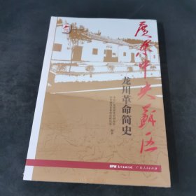 红色广东丛书：广东中央苏区龙川革命简史