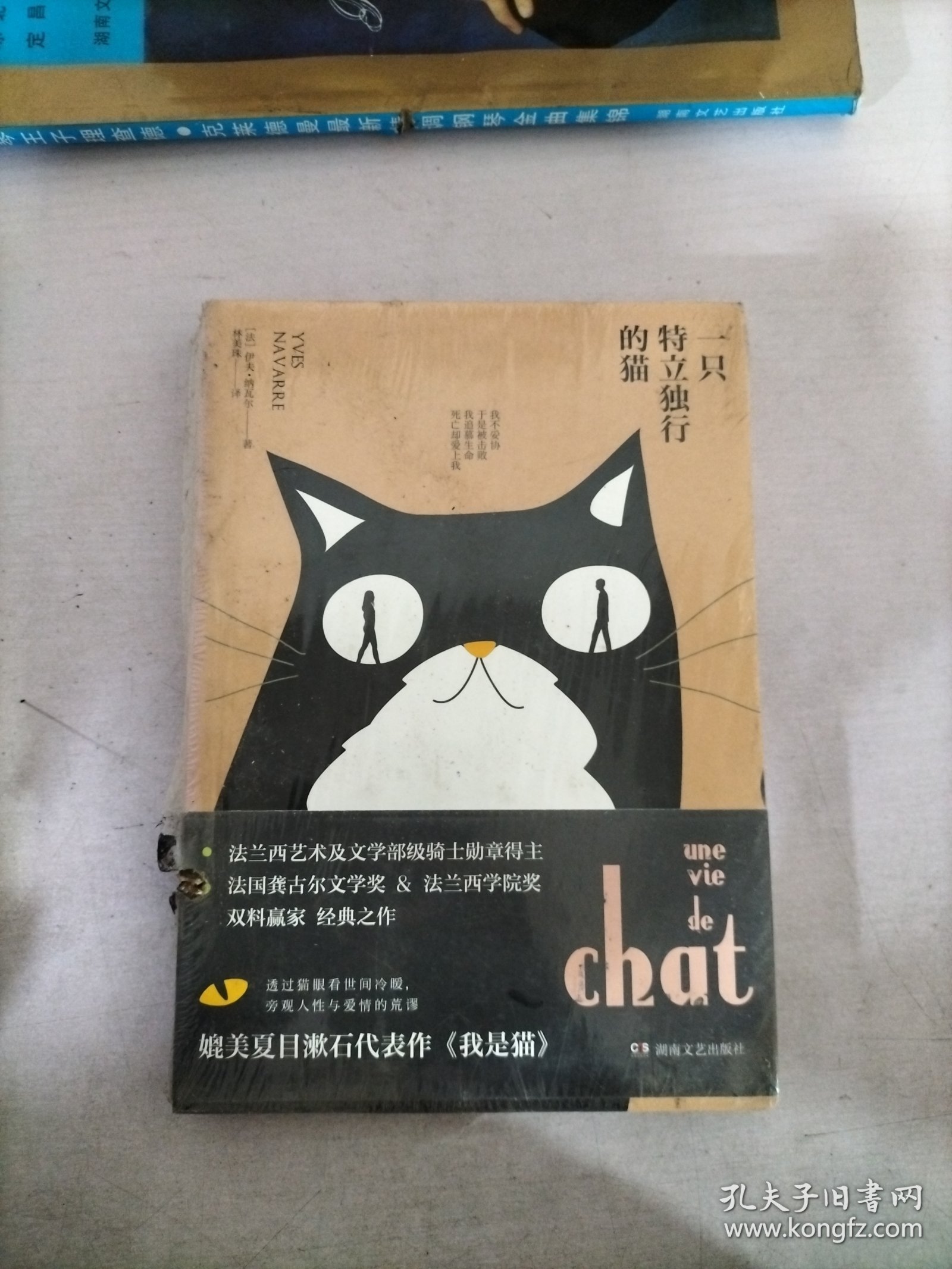 一只特立独行的猫