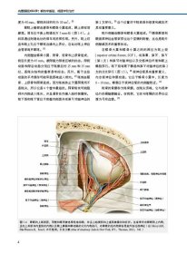 内镜眼眶外科学 解剖学基础、病理学和治疗