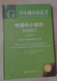 中国中小城市发展报告（2023）中国中小城市现代化之路