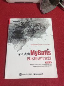 深入浅出MyBatis技术原理与实战