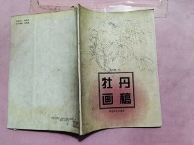牡丹画稿