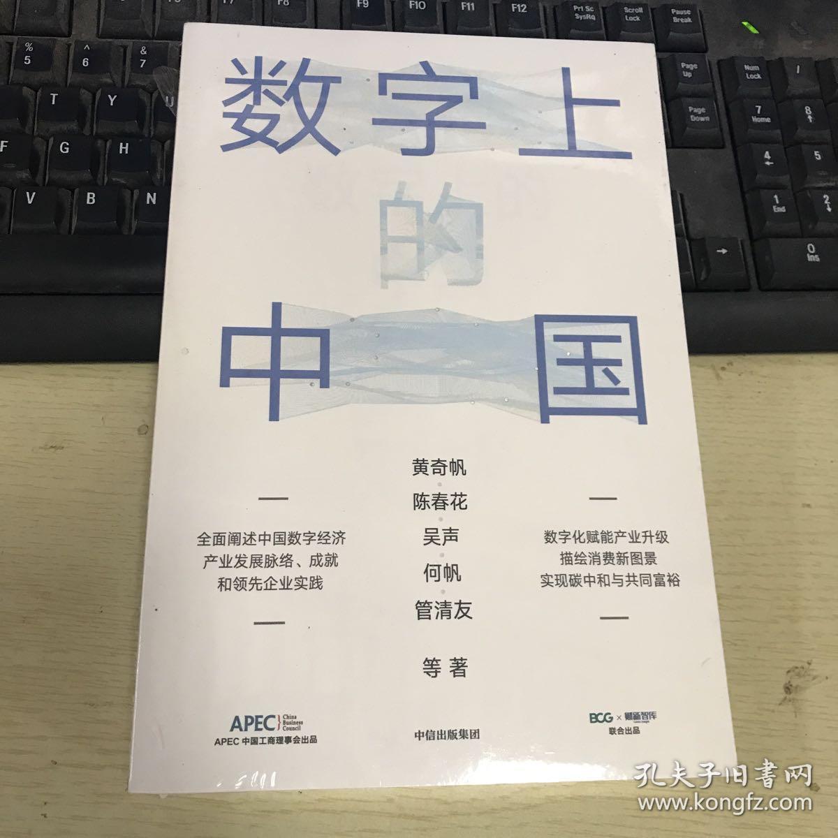 数字上的中国：黄奇帆、陈春花、吴声、何帆、管清友新作（塑封全新）