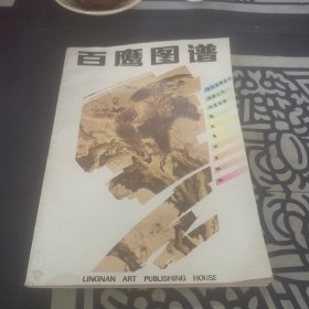 百鹰图谱
