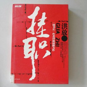 【八五品】 挂职