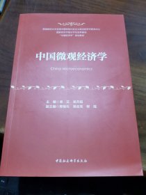 中国微观经济学