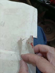 1963年福州市洪山人民公社结婚证一对