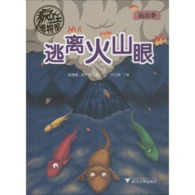 疯狂博物馆 逃离火山眼