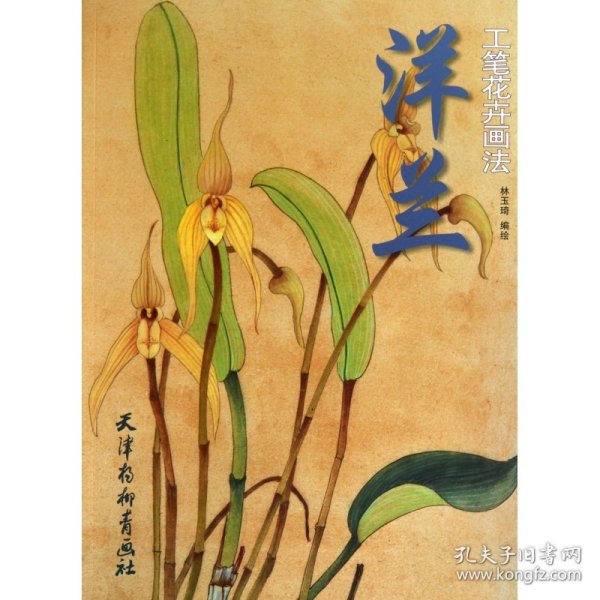 洋兰工笔花卉画法