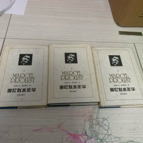 追忆似水年华（上中下三册）