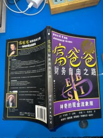 富爸爸财务自由之路：神奇的现金流象限