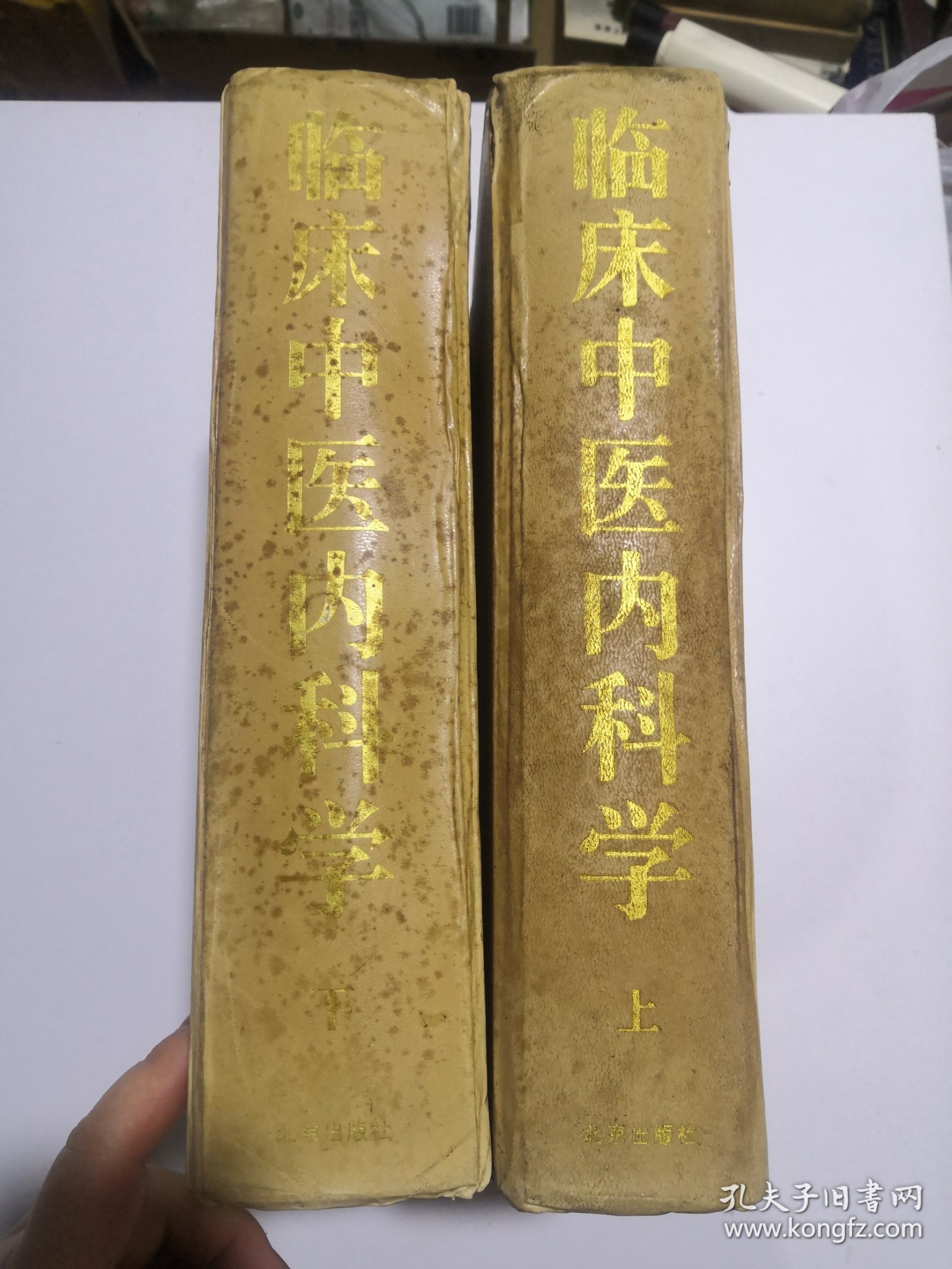 临床中医内科学（上，下）