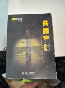 共同富裕：全面建设小康中的收入差距——公共管理丛书