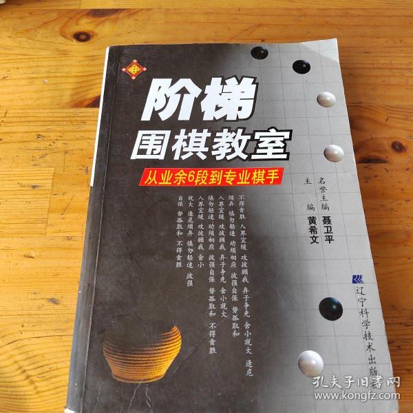 阶梯围棋教室：从业余6段到专业棋手