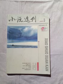 小说选刊2010年第3期