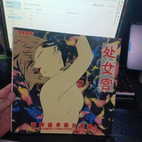 处女宫：天野喜孝美女画集【12开本】 b80-2