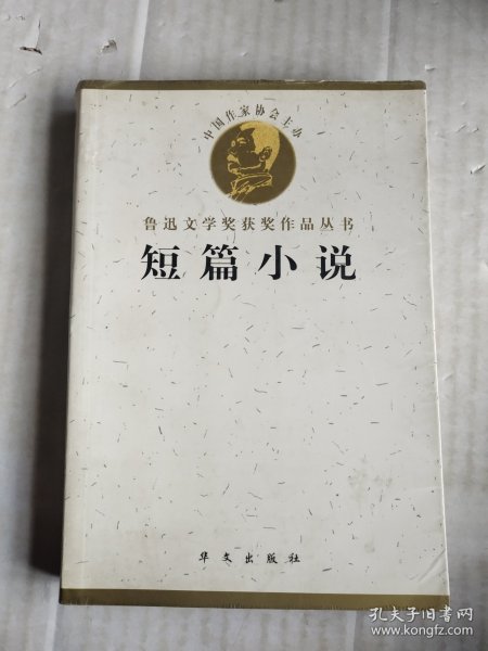 鲁迅文学奖获奖作品丛书：短篇小说