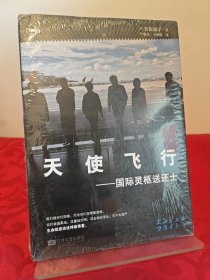 天使飞行：国际灵柩送还士